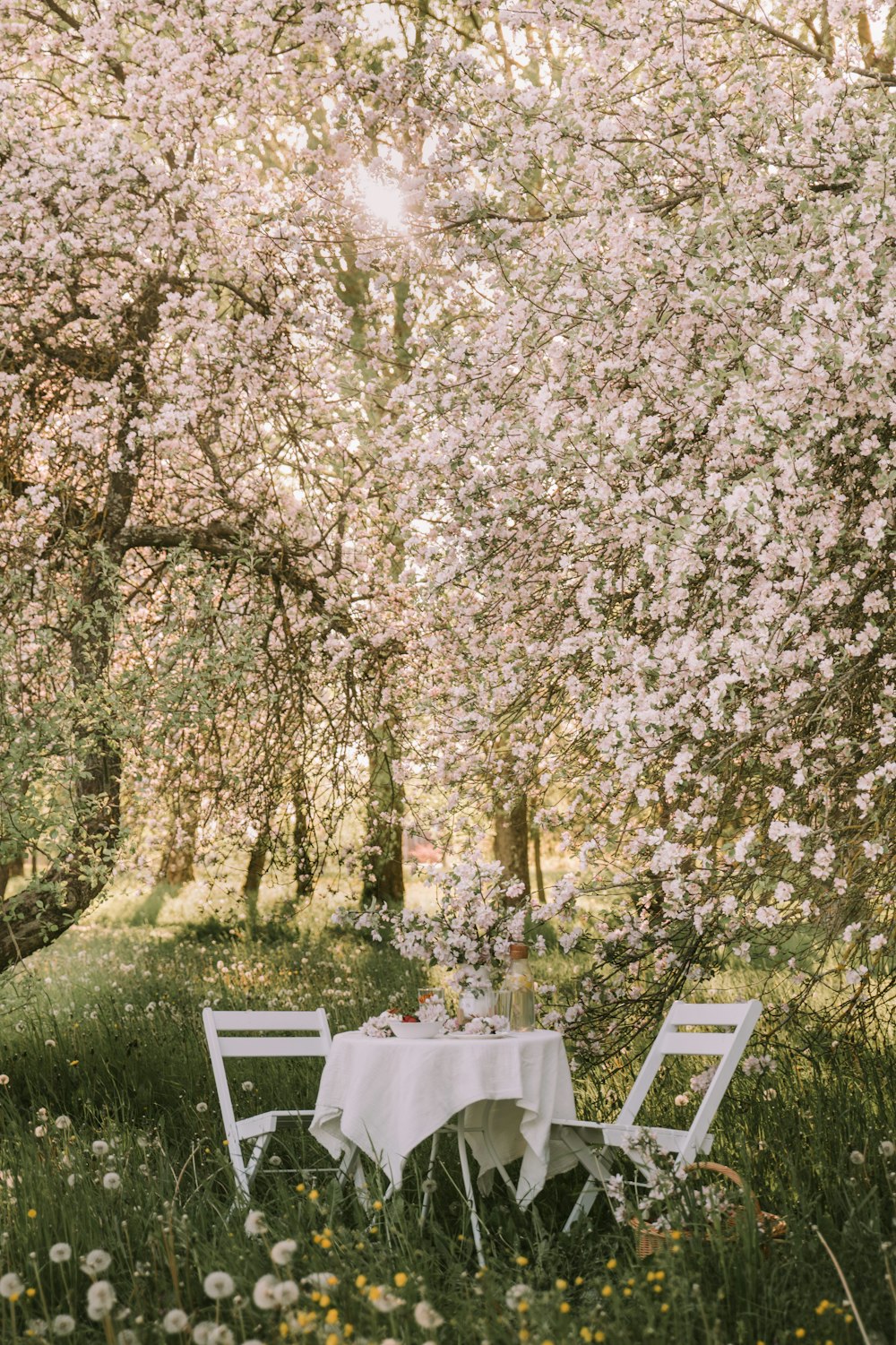 a table and two chairs in a field of flowers