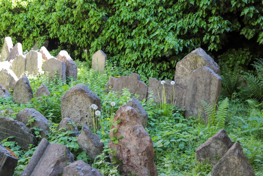 a large group of rocks in a grassy area