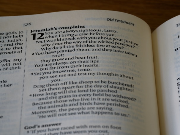 A close-up view of an open book page from the Old Testament, specifically showing a passage titled 'Jeremiah's Complaint'. The text includes verses discussing themes of justice and wickedness. The page number is 576, and the font is clear and focused against a softly blurred background.