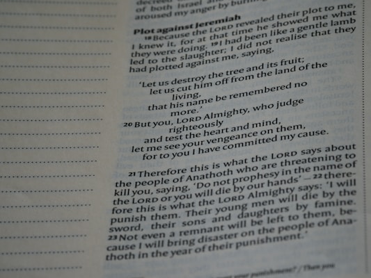 A close-up view of a page from a printed book, displaying text in a serif font. The text is laid out in paragraph form, with each line justified accordingly. The page includes a heading in bold, with some parts of the text also emphasized by bold typography. Margins are present, and the page seems to have a slightly yellowish tone, suggesting it may be from a book with an aged or classical appearance.
