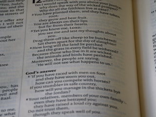 A close-up view of an open book, revealing printed text in columns. The text includes a conversation and some questions posed, with a section titled 'God’s answer.' The page has large and small font sizes and is displayed at an angle, adding depth and focus.