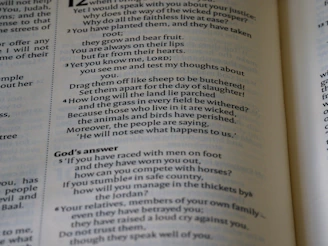 Visual of a dashboard showing various biblical game question types.