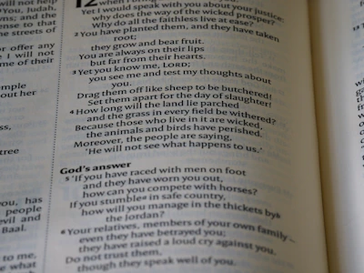 Visual of a dashboard showing various biblical game question types.