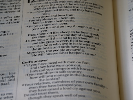 A close-up view of an open book, revealing printed text in columns. The text includes a conversation and some questions posed, with a section titled 'God’s answer.' The page has large and small font sizes and is displayed at an angle, adding depth and focus.