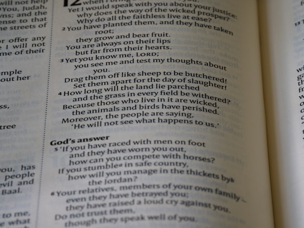 A close-up view of an open book, revealing printed text in columns. The text includes a conversation and some questions posed, with a section titled 'God’s answer.' The page has large and small font sizes and is displayed at an angle, adding depth and focus.