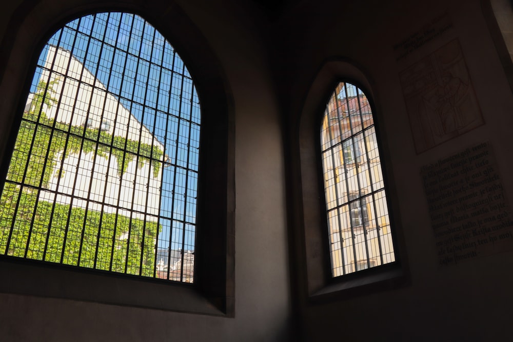 a couple of windows that have some plants in them