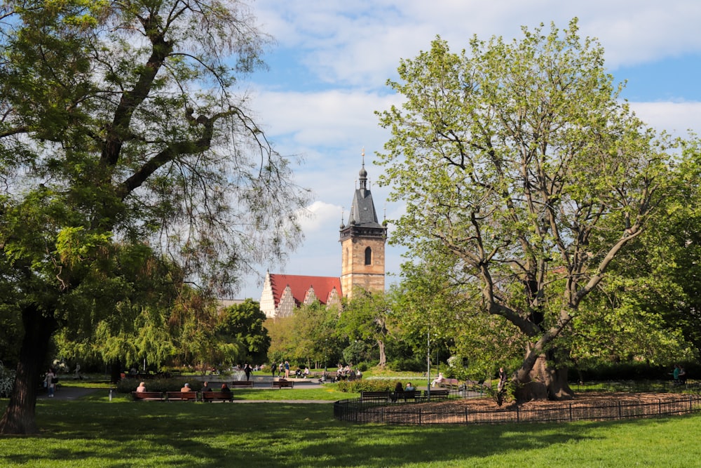 a park with trees and a church in the background