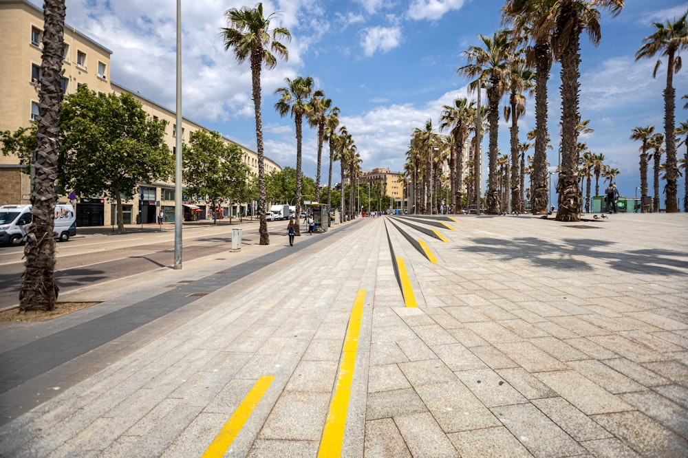 a street lined with palm trees next to a sidewalk