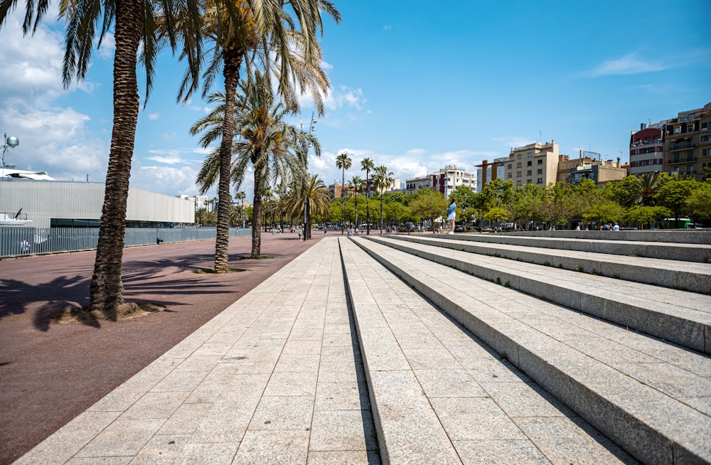 a row of palm trees sitting next to a sidewalk