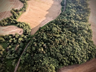 Aerial view of lush green forests and land surveying equipment in use.