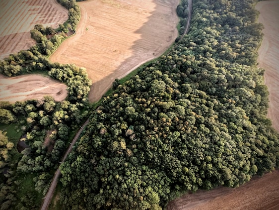 Aerial view of lush green forests and land surveying equipment in use.
