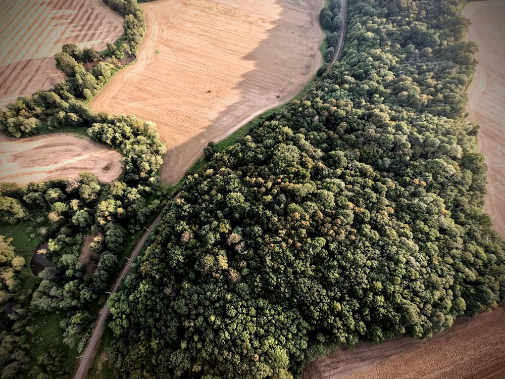 an aerial view of a field and a road