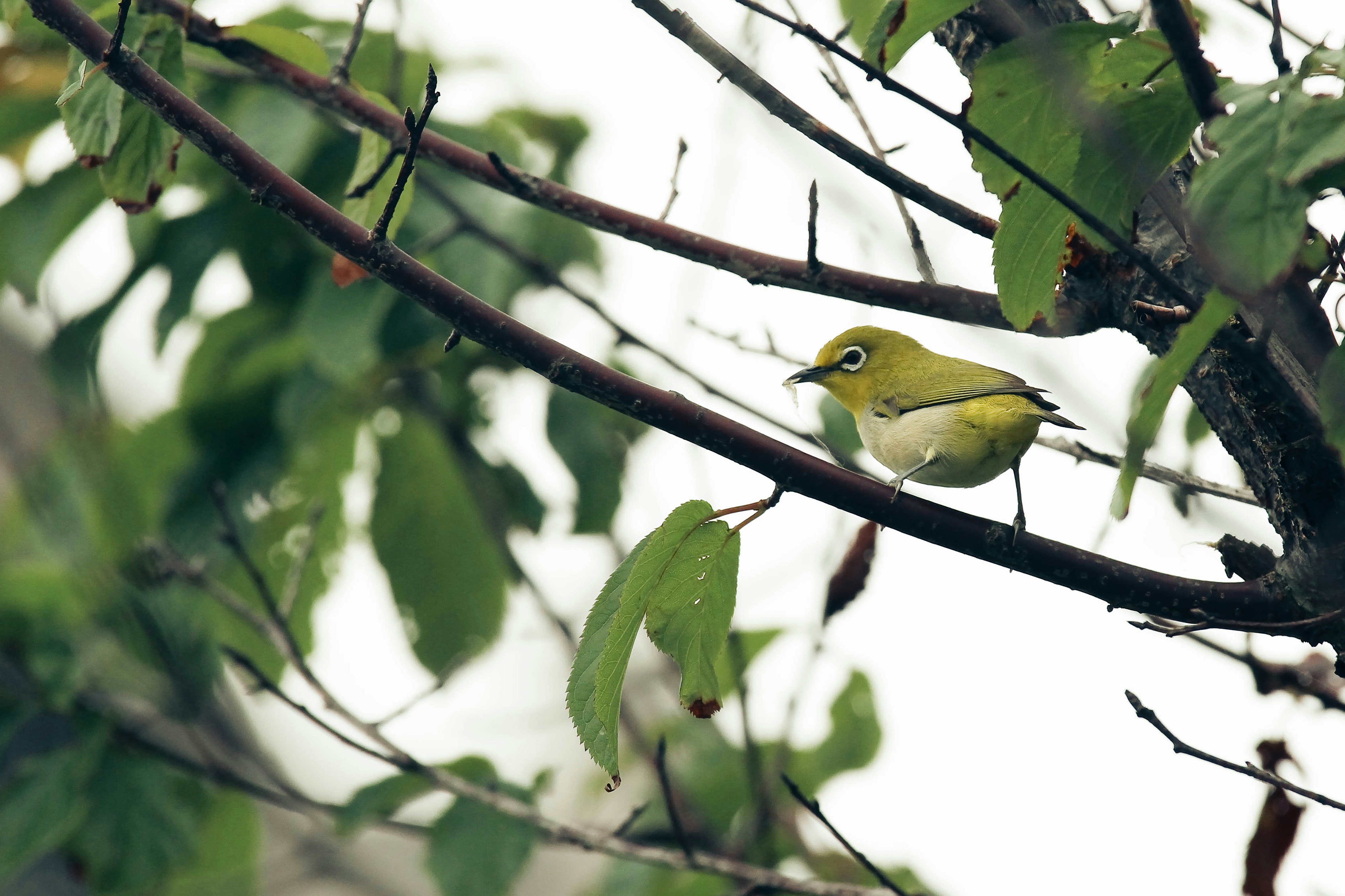 Photo by litemessmor