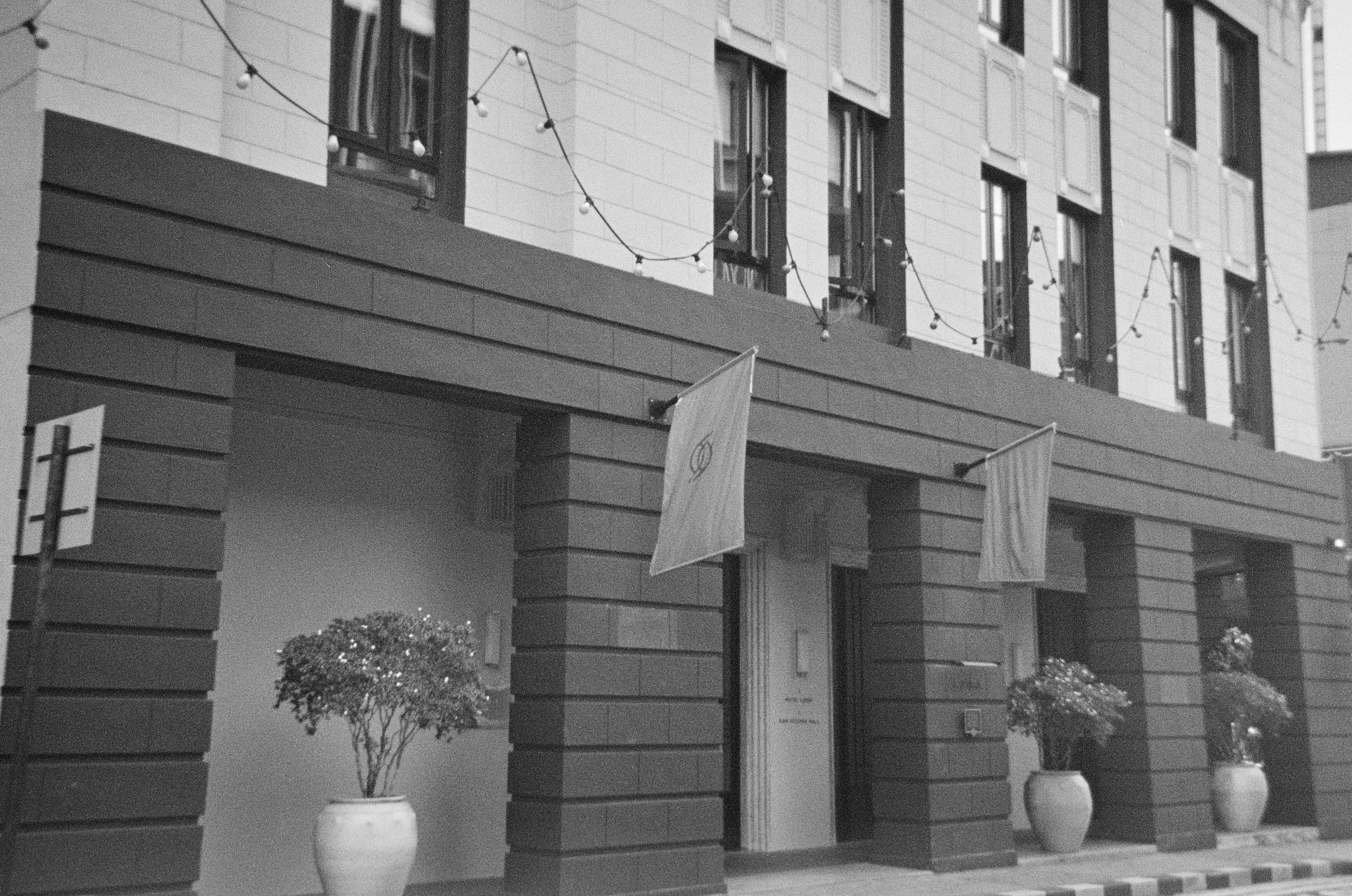 Photo by izumibarton