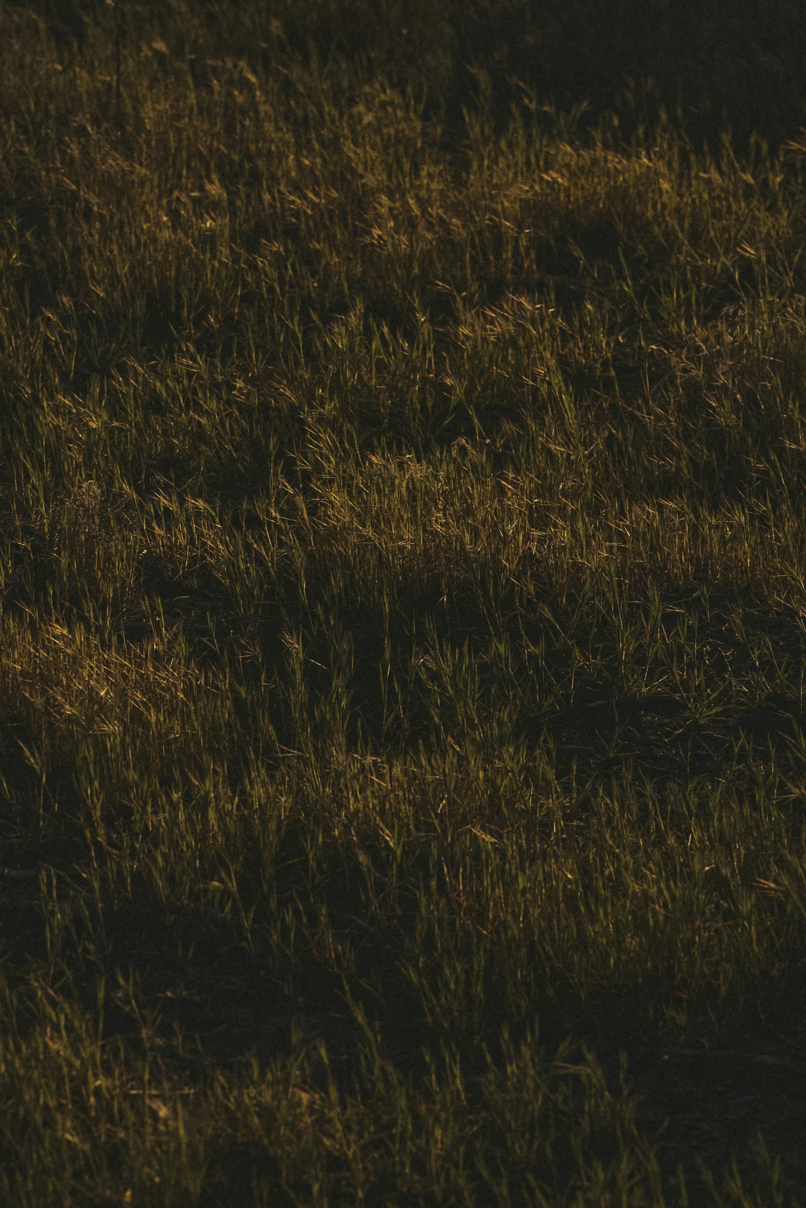 Photo by isaactmitchell