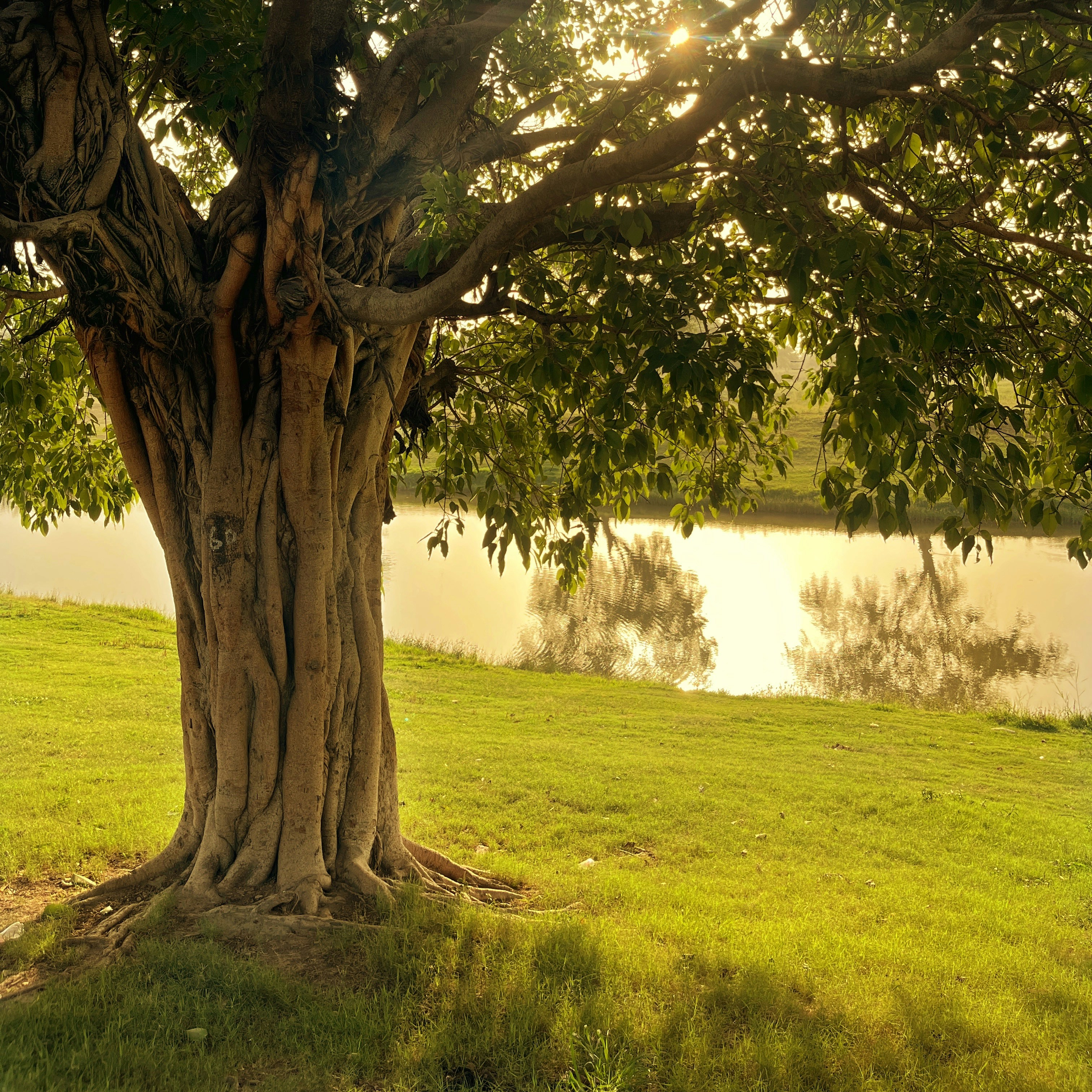 Photo by tarunanandgiri