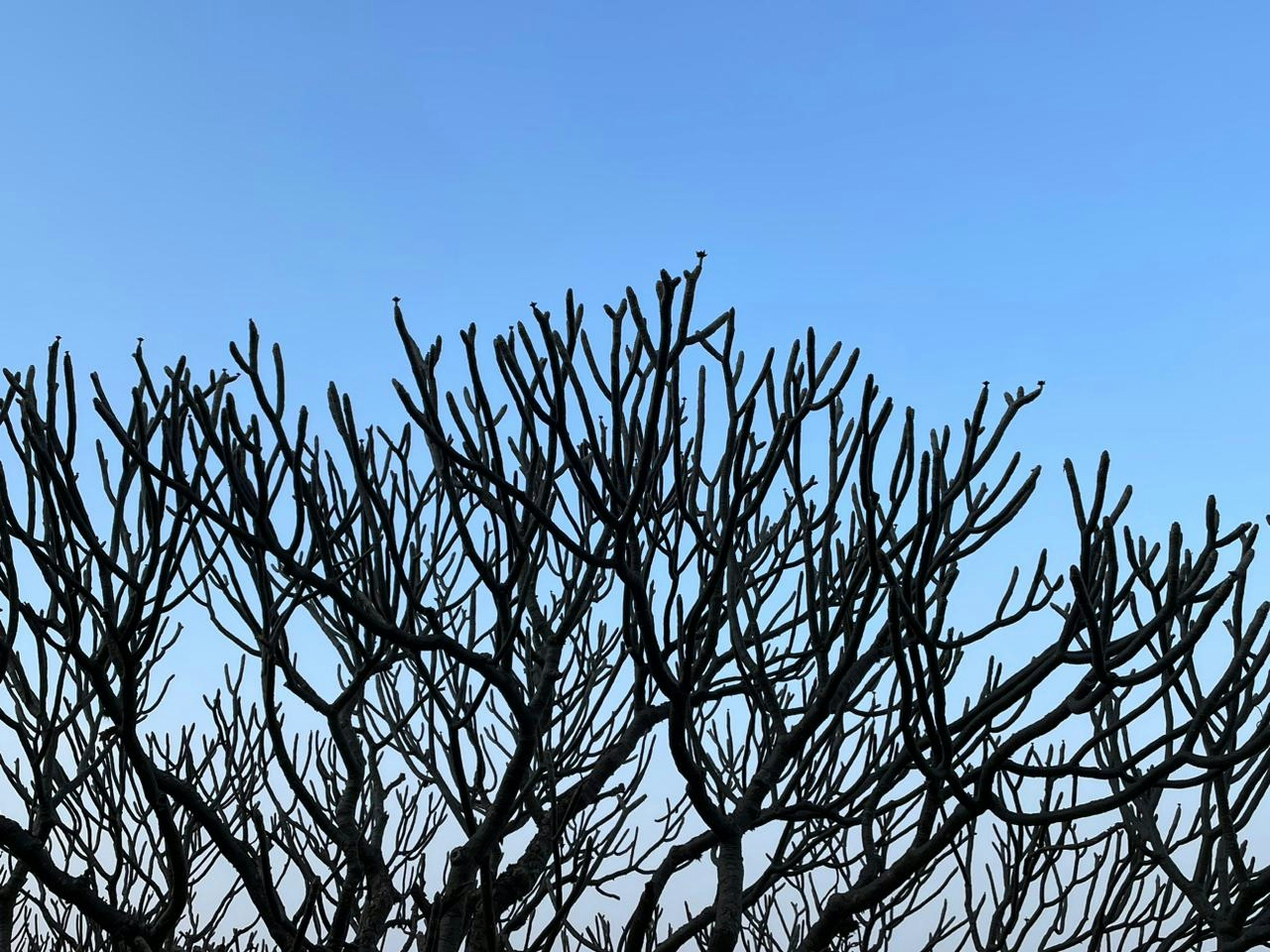 Photo by aarav_sawant_1109