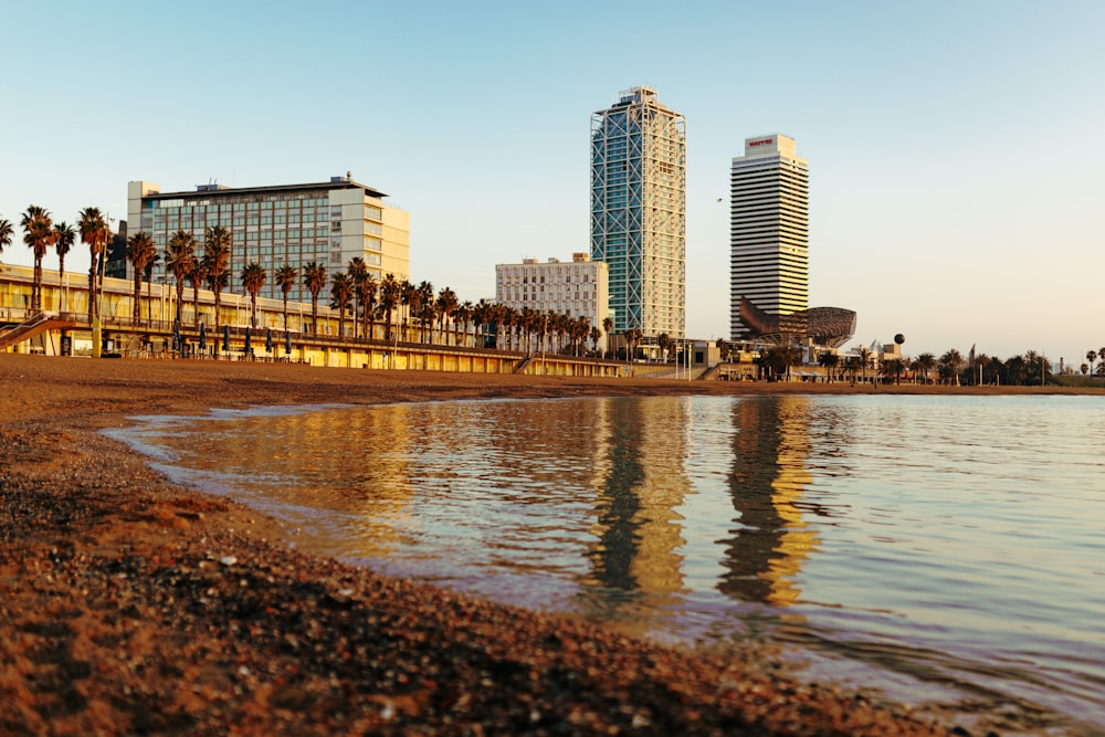 a beach next to a city with tall buildings