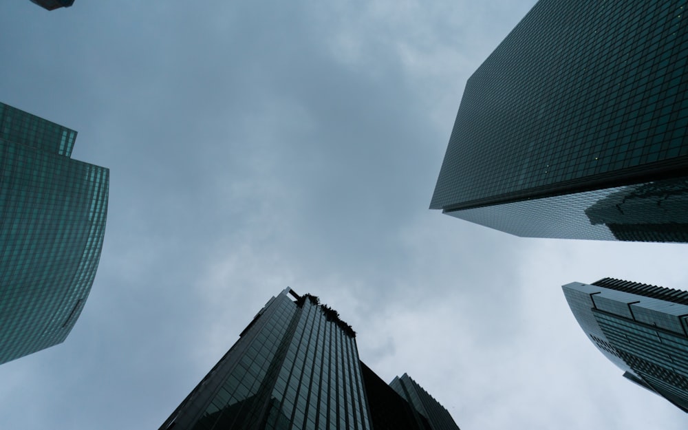 looking up at a group of tall buildings