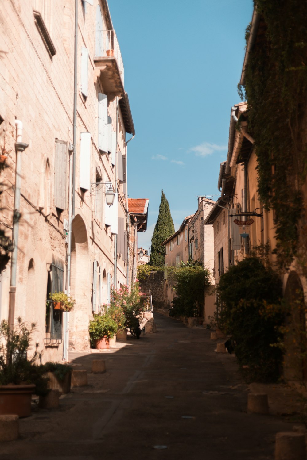 a narrow street lined with buildings and potted plants