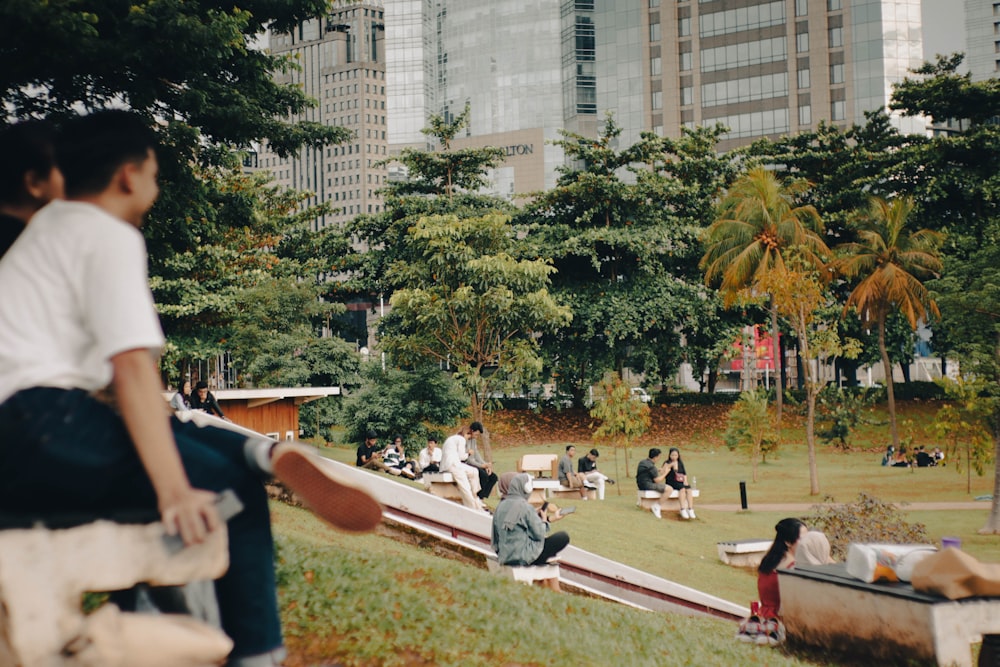 a group of people sitting on top of a lush green park