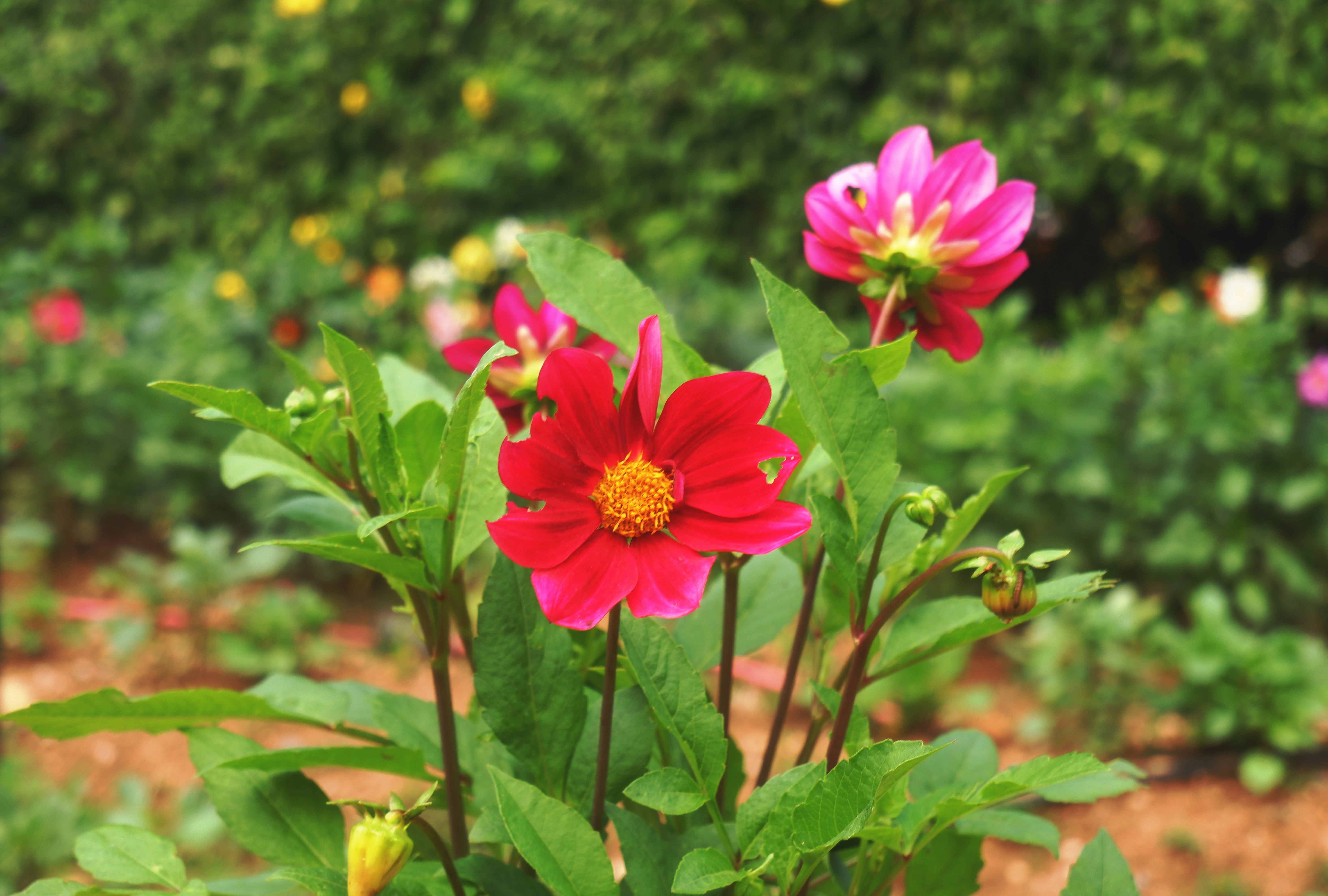 Photo by travelspurpose