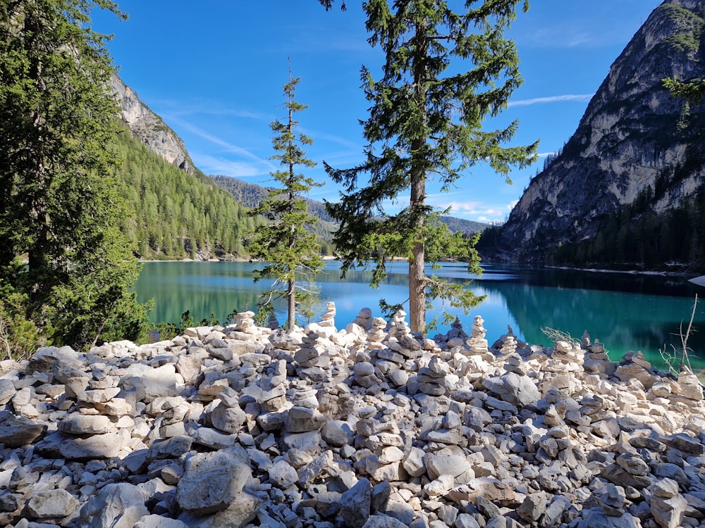 um lago cercado por rochas e árvores em um dia ensolarado