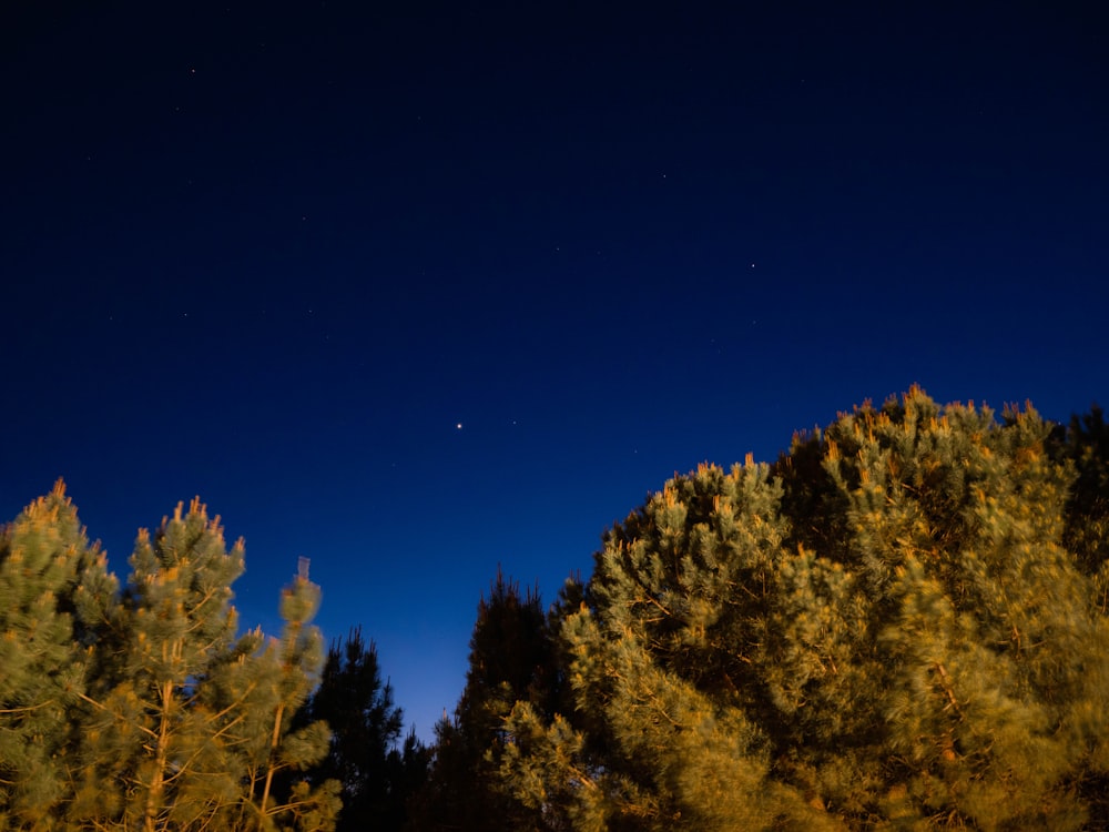 O céu noturno é iluminado pela lua e pelas estrelas