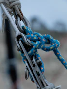 Close-up of professional rope and safety gear prepared for an arborist task.