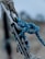 A close-up view of a metal climbing gear setup, featuring a carabiner linked with a strong blue climbing rope. The rope has orange and green speckles and is securely tied around the gear. The image is sharp, with the focus on the metal and rope, while the background is blurred, suggesting an outdoor environment.