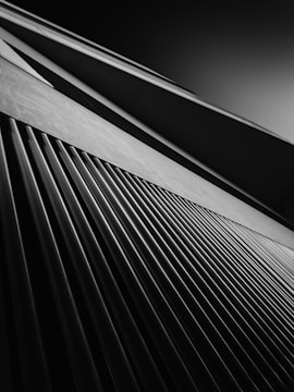 Abstract architectural lines converging to symbolize structured governance.