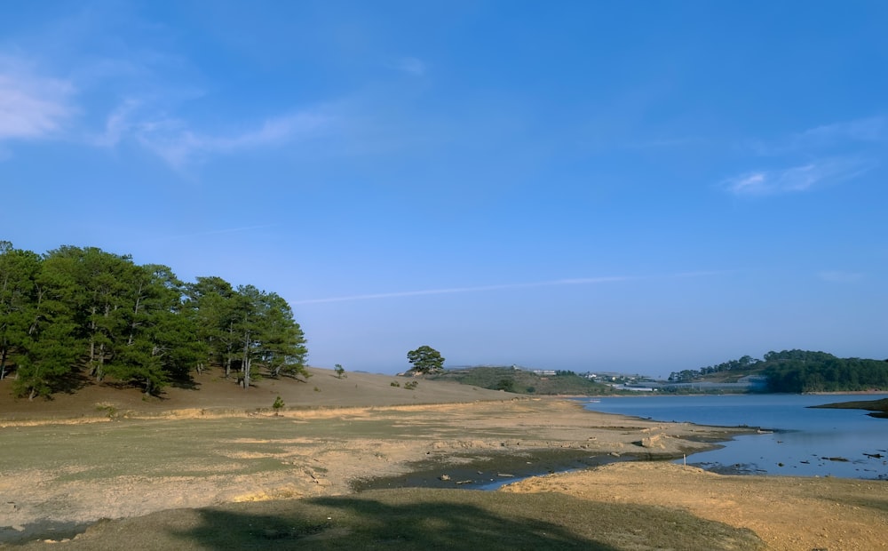 a large body of water surrounded by trees