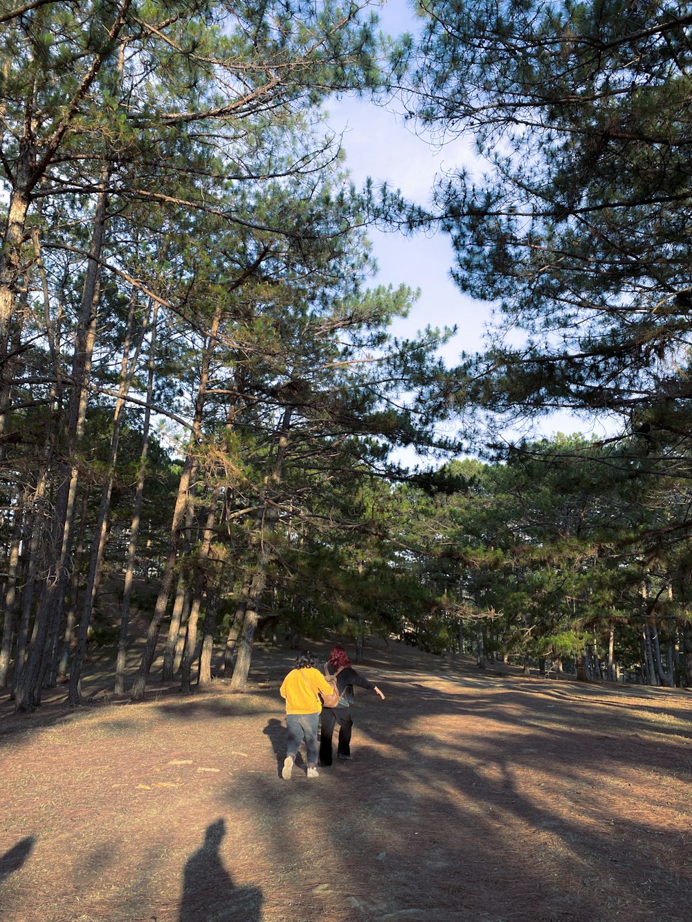 a man and a dog walking through a forest