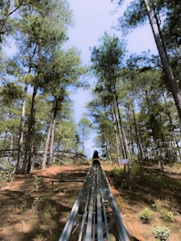 A person is riding a small cart on a metal track that ascends through a dense forest area. Tall pine trees surround the track, and sunlight filters through the leaves, casting dappled shadows on the ground. The scene conveys a sense of adventure and exploration in a natural setting.
