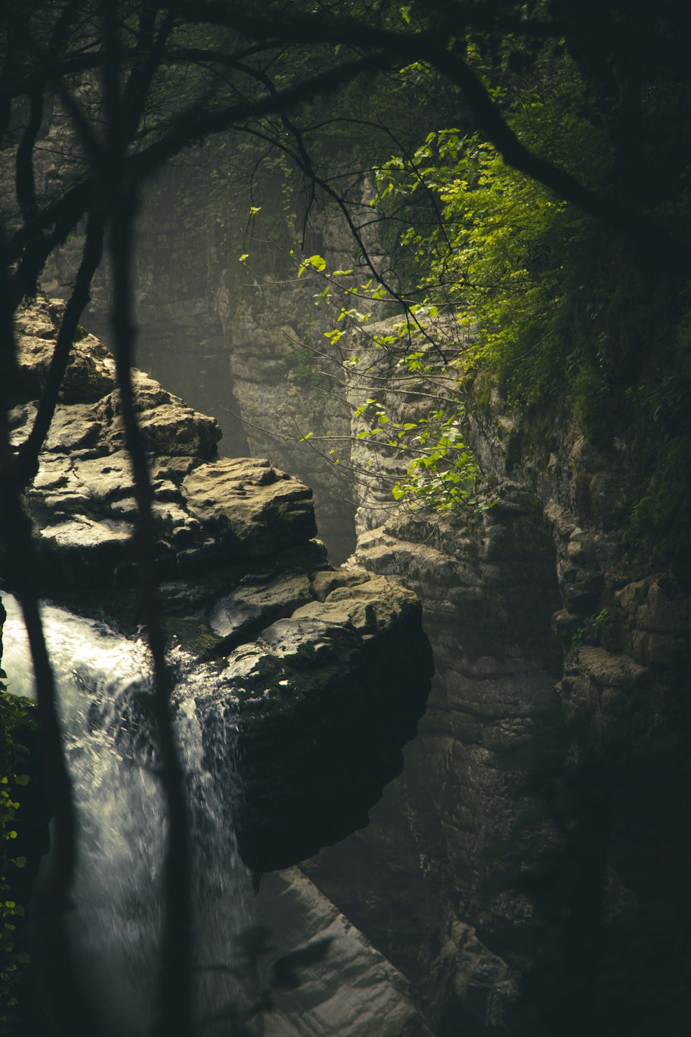 Une petite cascade au milieu d’une forêt