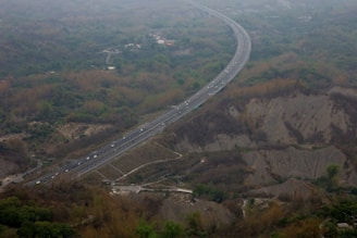 Long stretch of highway bordered by lush green grass planted by hydroseeding.