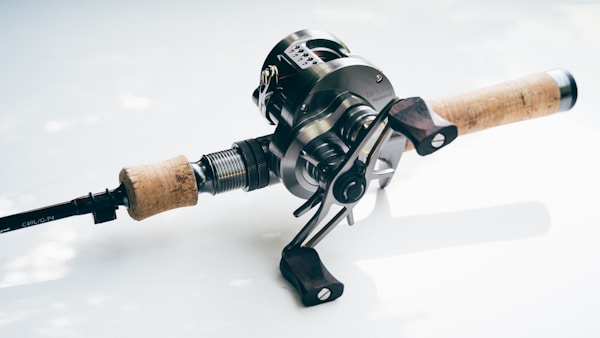 Spinning fishing reel