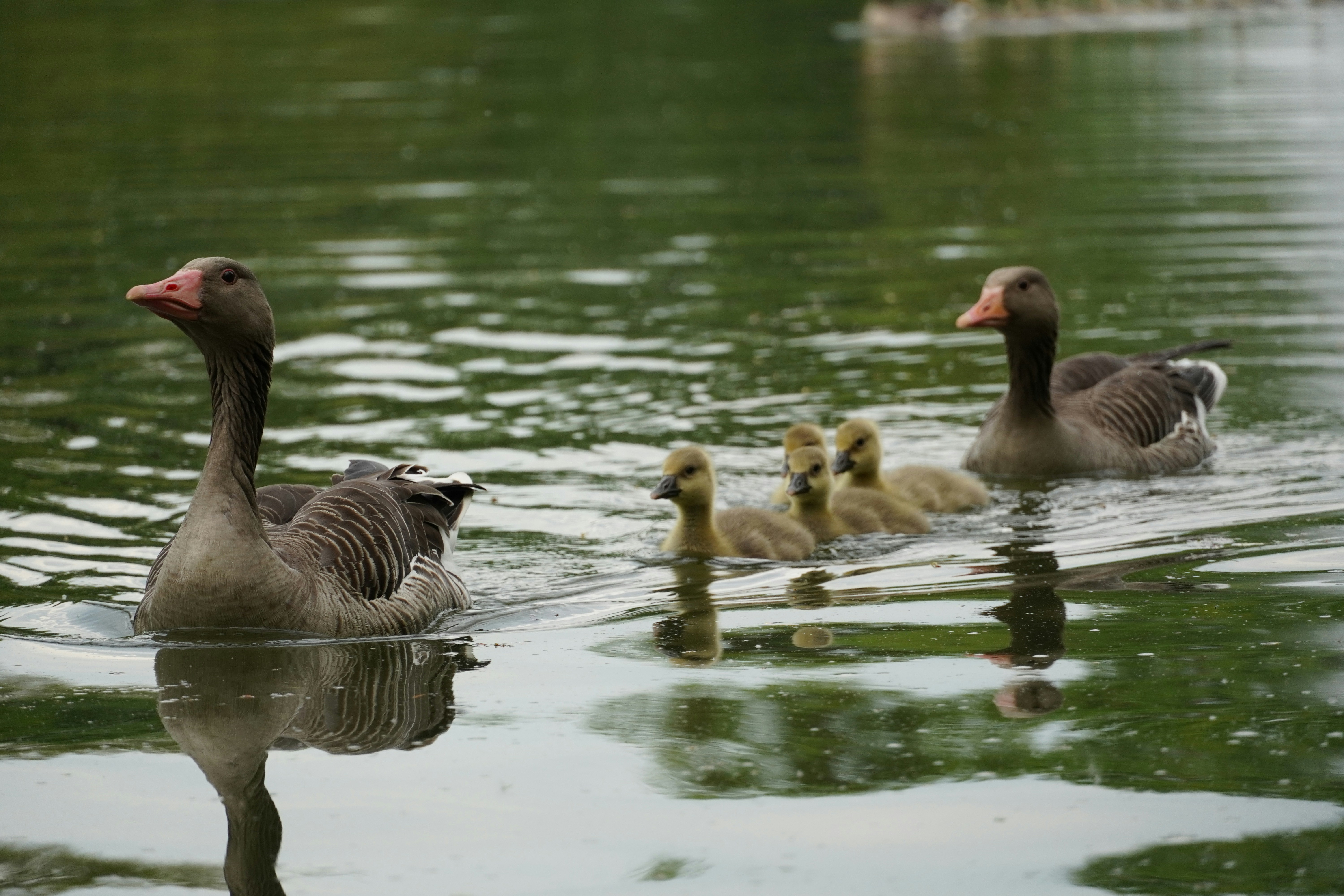 Photo by theodor_jacob