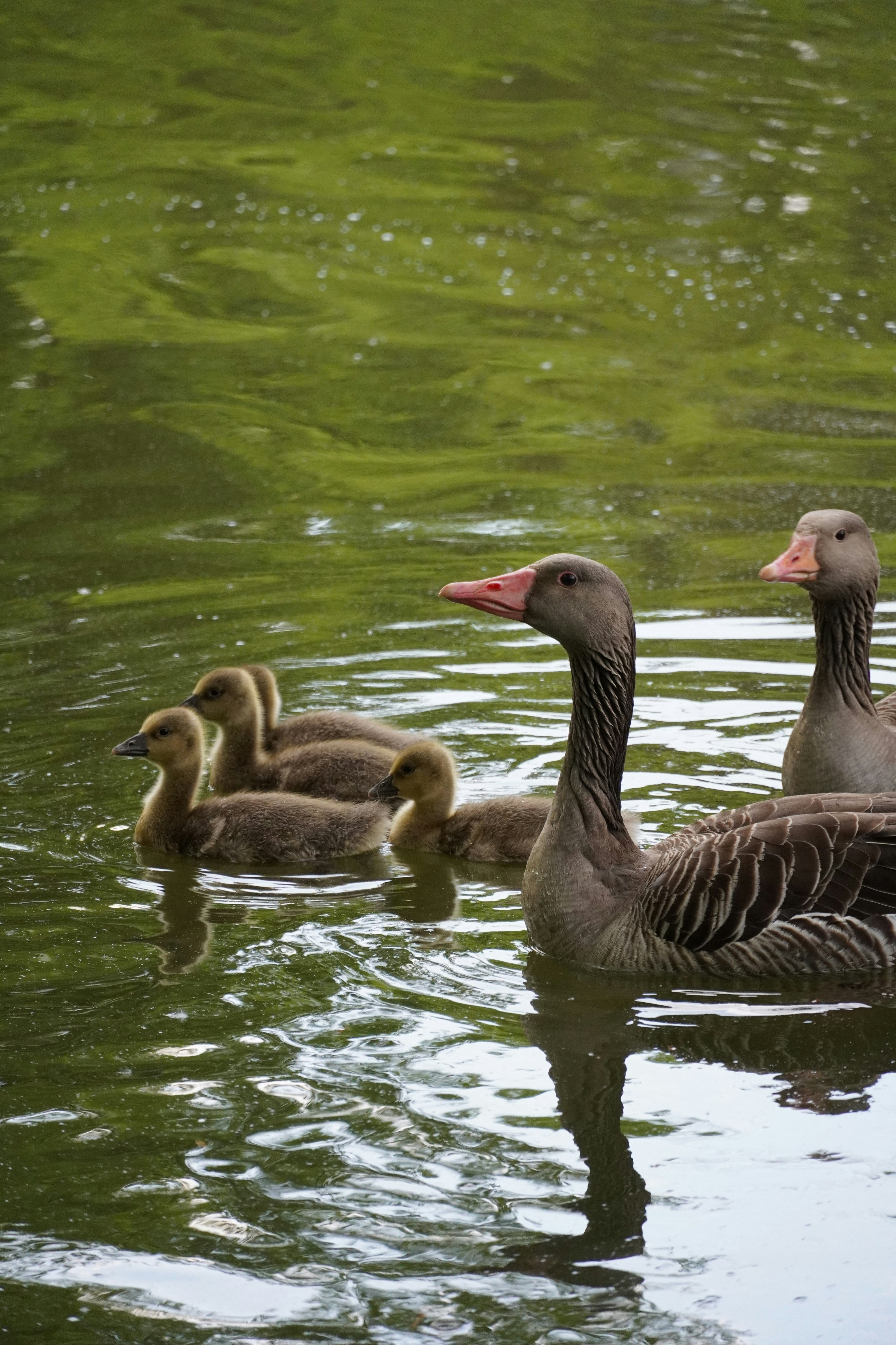 Photo by theodor_jacob