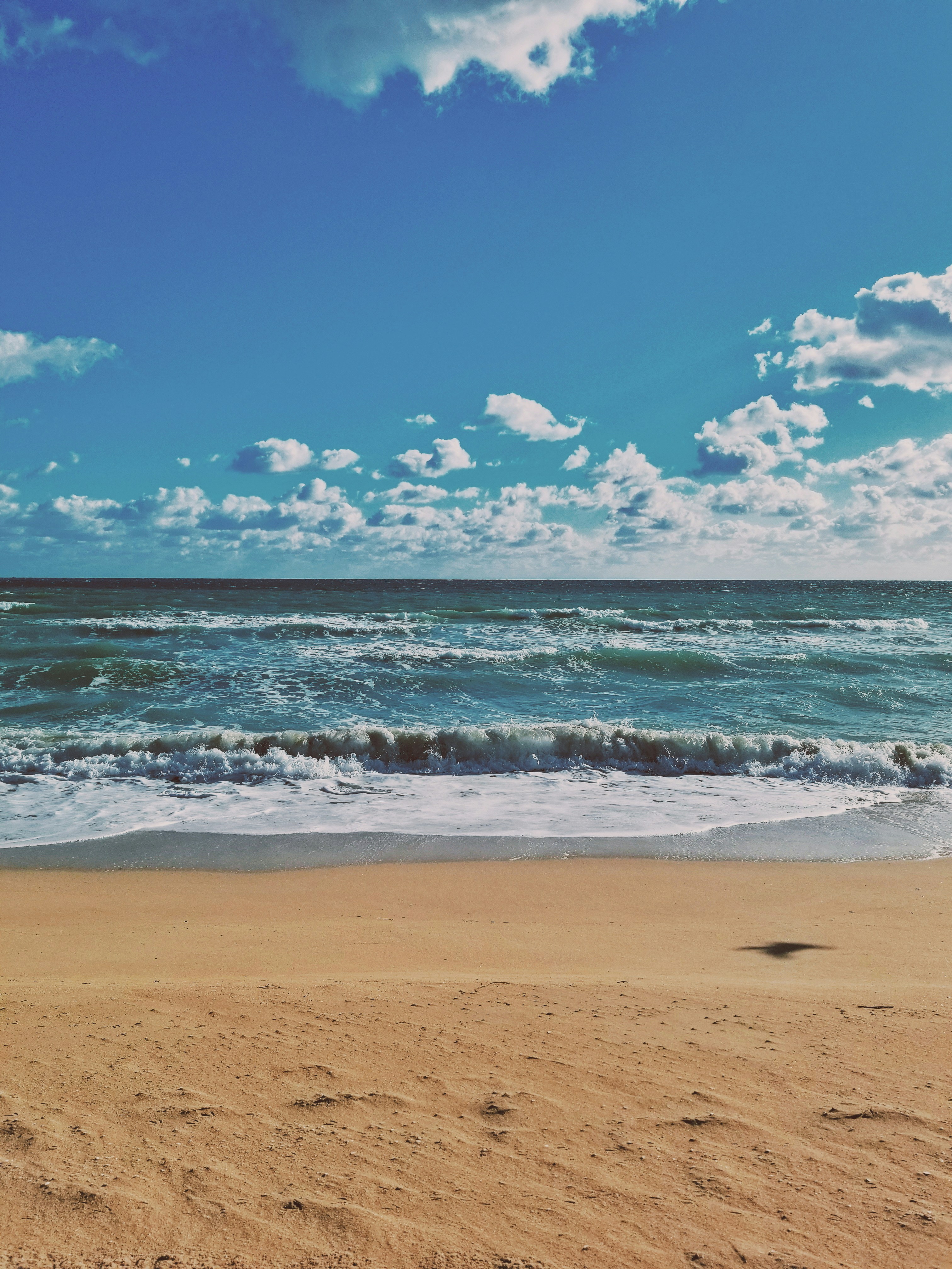 Photo by ritzaldi_ariawan