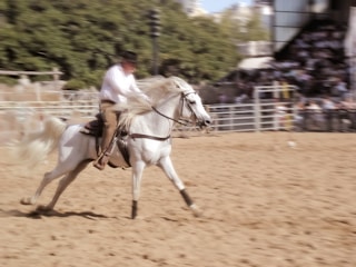 A person wearing a black hat rides a white horse at high speed in a sandy arena. The background shows blurred spectators indicating motion, as well as some green trees and structural barriers.