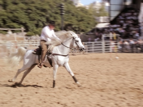 A person wearing a black hat rides a white horse at high speed in a sandy arena. The background shows blurred spectators indicating motion, as well as some green trees and structural barriers.