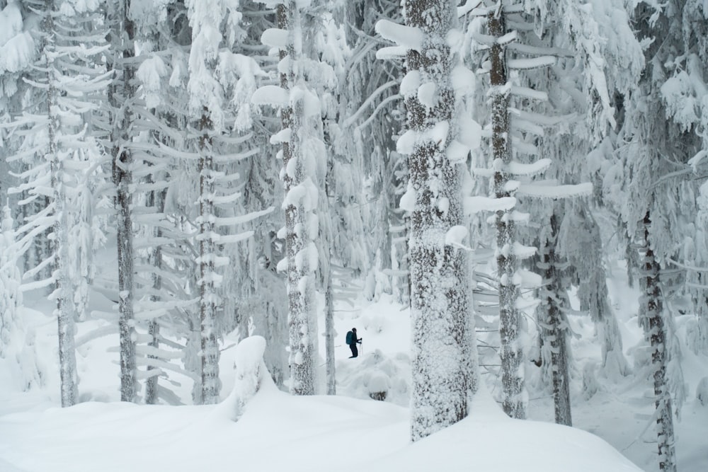 a person skiing through a snow covered forest