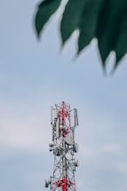 a cell phone tower with a green leaf in the foreground