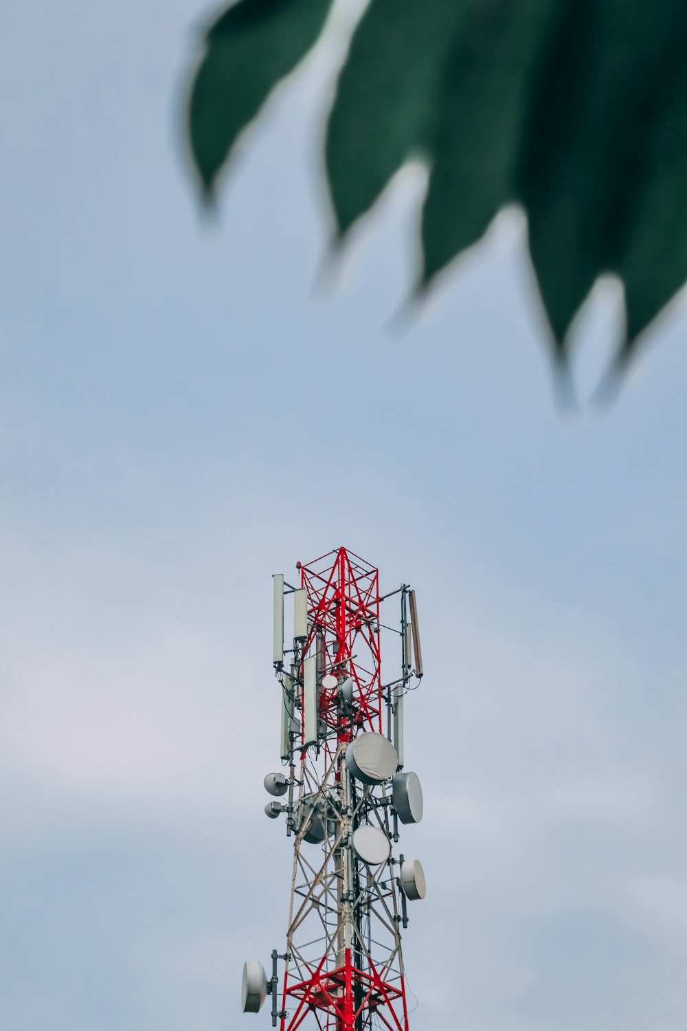 una torre de telefonía celular con una hoja verde en primer plano