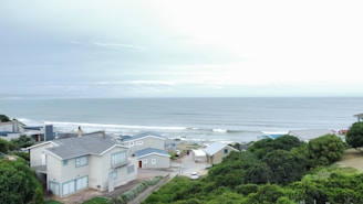 Several modern coastal houses with blue and gray tones are situated near a tranquil ocean. Rolling waves approach a rocky shoreline and a mix of lush green trees surround the area, creating a serene atmosphere.