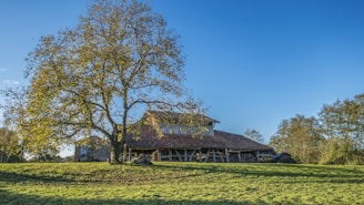 A rustic house with a tiled roof surrounded by green grass and large trees. The sun casts warm light, creating a peaceful and serene rural scene.