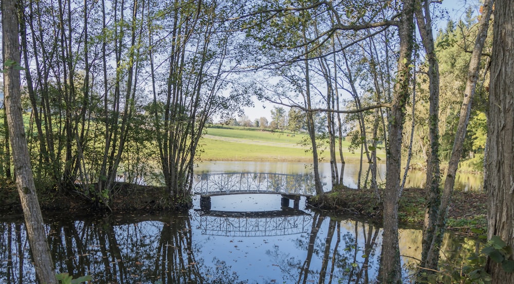 a pond surrounded by trees and a bridge