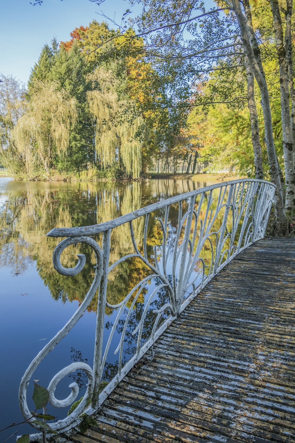 a bridge over a body of water surrounded by trees