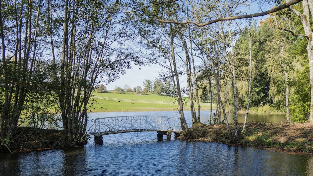 a bridge over a body of water surrounded by trees